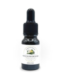 Eyebrow and Lash Serum